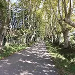 Maison Avec Entree Privee A Aiguillon * L'Aiguillon