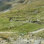 Maison Avec Entree Privee A Aiguillon