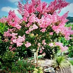 Prázdninový dům Maison Avec Entree Privee A Aiguillon *