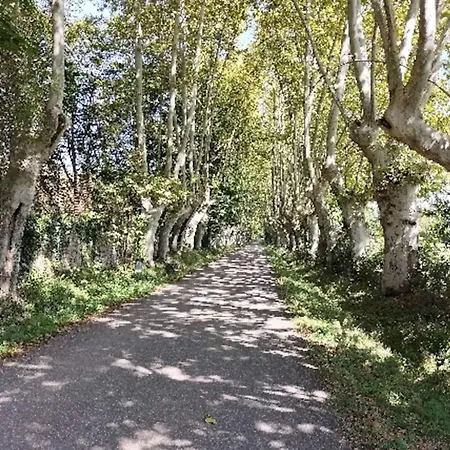 Maison Avec Entrée Privée à Aiguillon * L'Aiguillon