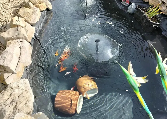 Holiday home Maison Avec Entree Privee A Aiguillon