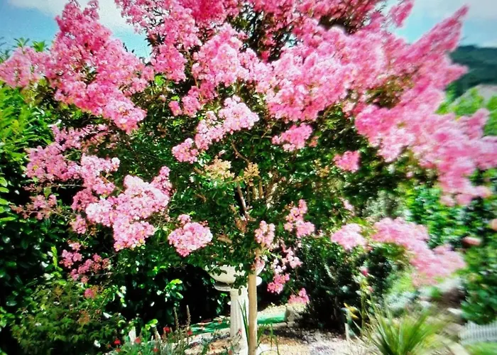 Maison Avec Entree Privee A Aiguillon