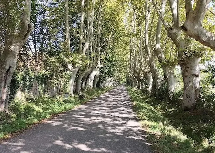 Maison Avec Entree Privee A Aiguillon * L'Aiguillon