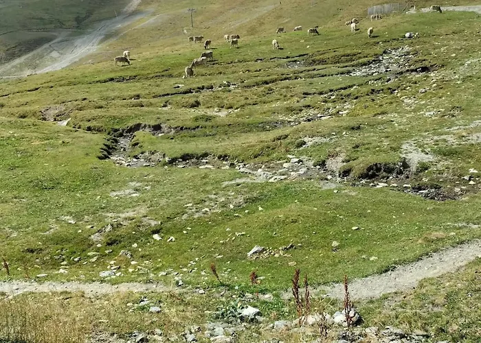 Maison Avec Entree Privee A Aiguillon Holiday home